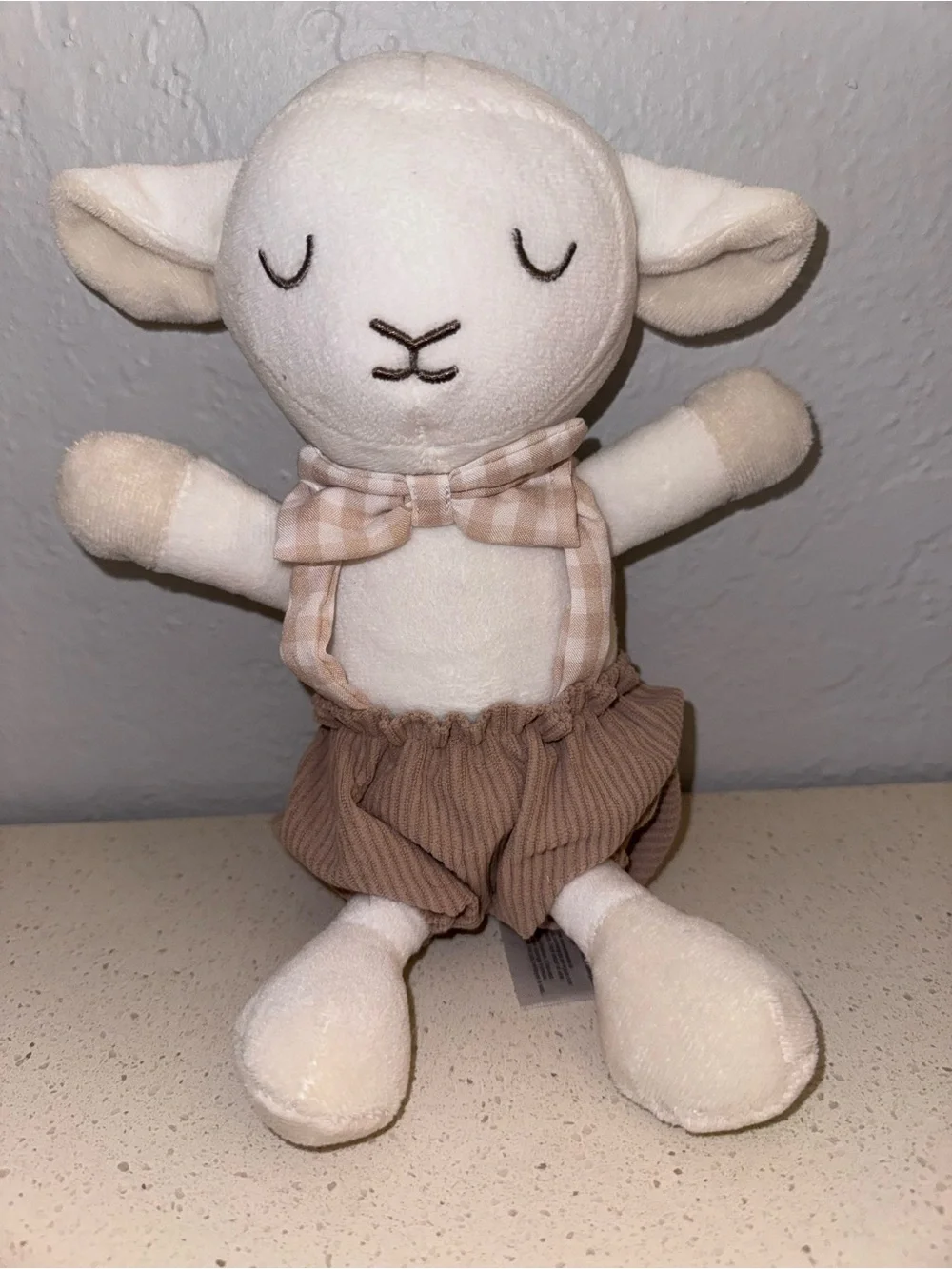 N/A adorable lamb